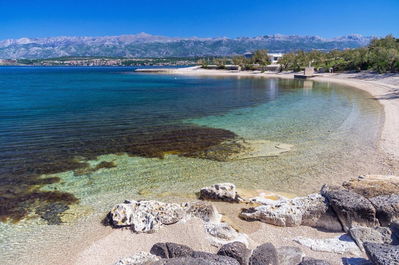Hotel Rooms Roccia Novigrad  Εξωτερικό φωτογραφία