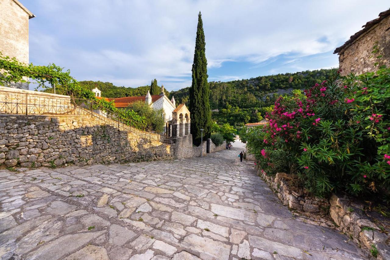 Hotel Rooms Roccia Novigrad  Εξωτερικό φωτογραφία